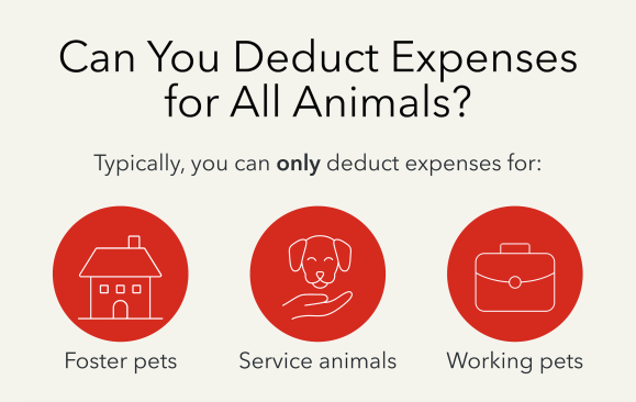 Can You Deduct Expenses for All Animals?